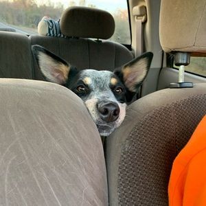 Meet your Posher, Kate